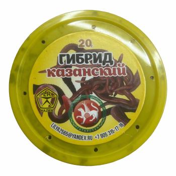 Черви Гибрид казанский 20 гр.