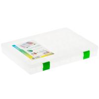 Коробка рыбака FISHERBOX 310 (31x23x04)